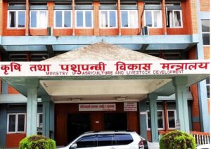 कृषि मन्त्रालयका जलाइएका सामग्रीको विवरण सङ्कलन गर्न समिति गठन