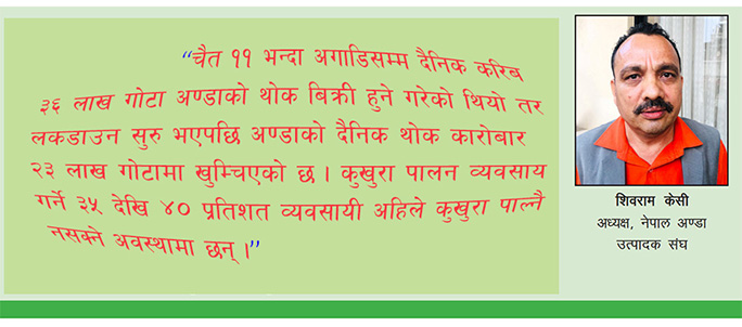 अण्डा पार्ने कुखुरा नै बेचेर खोर रित्याउनुपर्ने अवस्था बन्यो