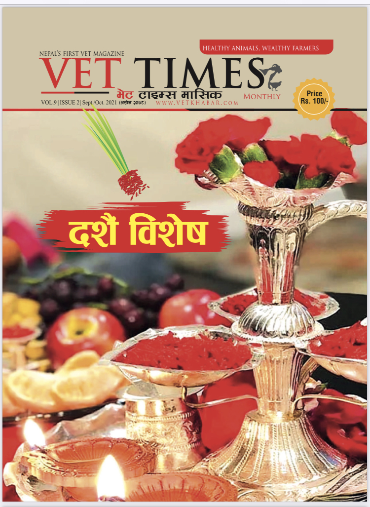 भेट टाइम्स मासिक दशै विशेष