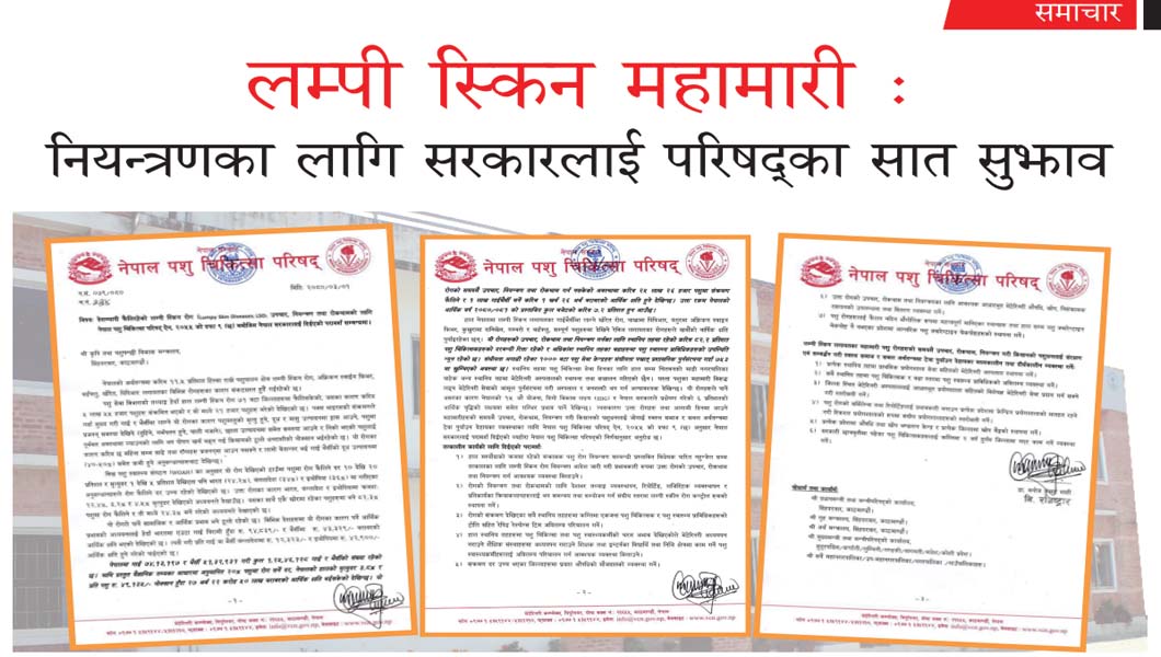 लम्पी स्किन महामारी : नियन्त्रणका लागि सरकारलाई परिषद्का सात सुझाव