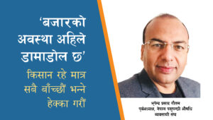 ‘बजारको अवस्था अहिले डामाडोल छ’,किसान रहे मात्र सबै बाँच्छौं भन्ने हेक्का गरौं