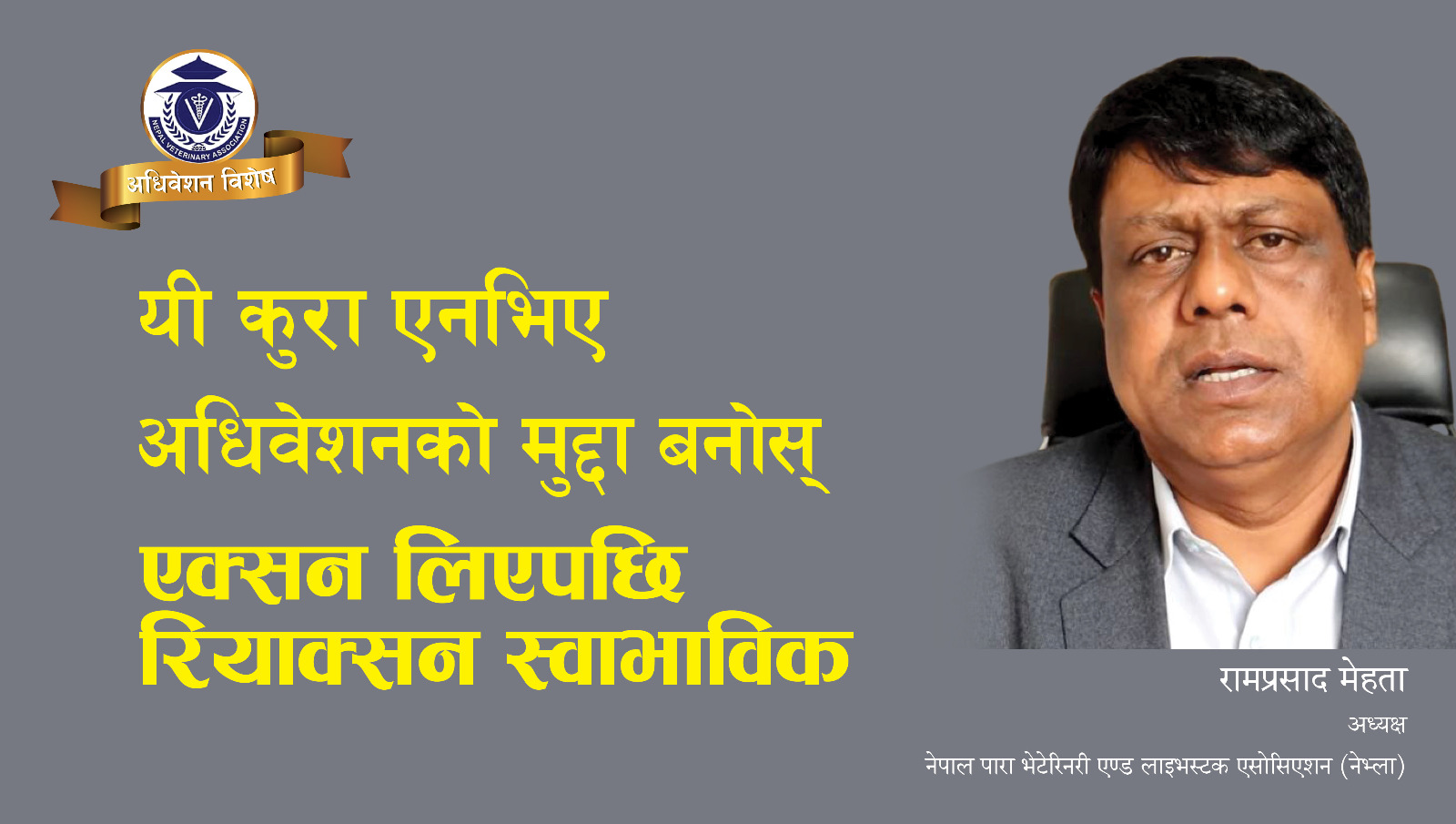 एक्सन लिएपछि रियाक्सन स्वाभाविक:यी कुरा एनभिए अधिवेशनको मुद्दा बनोस्