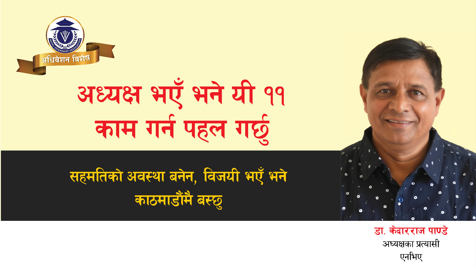 अध्यक्ष भएँ भने यी ११ काम गर्न पहल गर्छु,