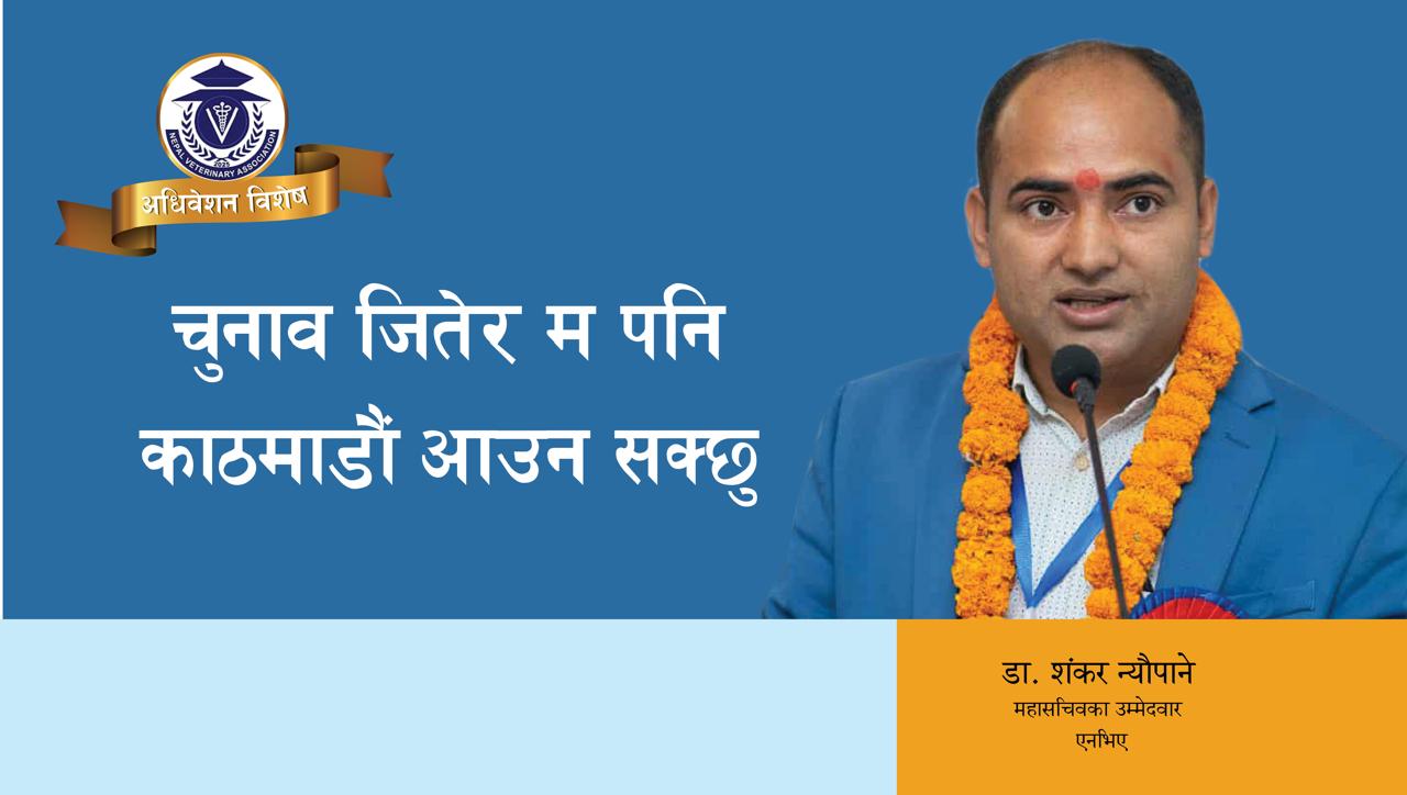 चुनाव जितेर म पनि काठमाडौं आउन सक्छु