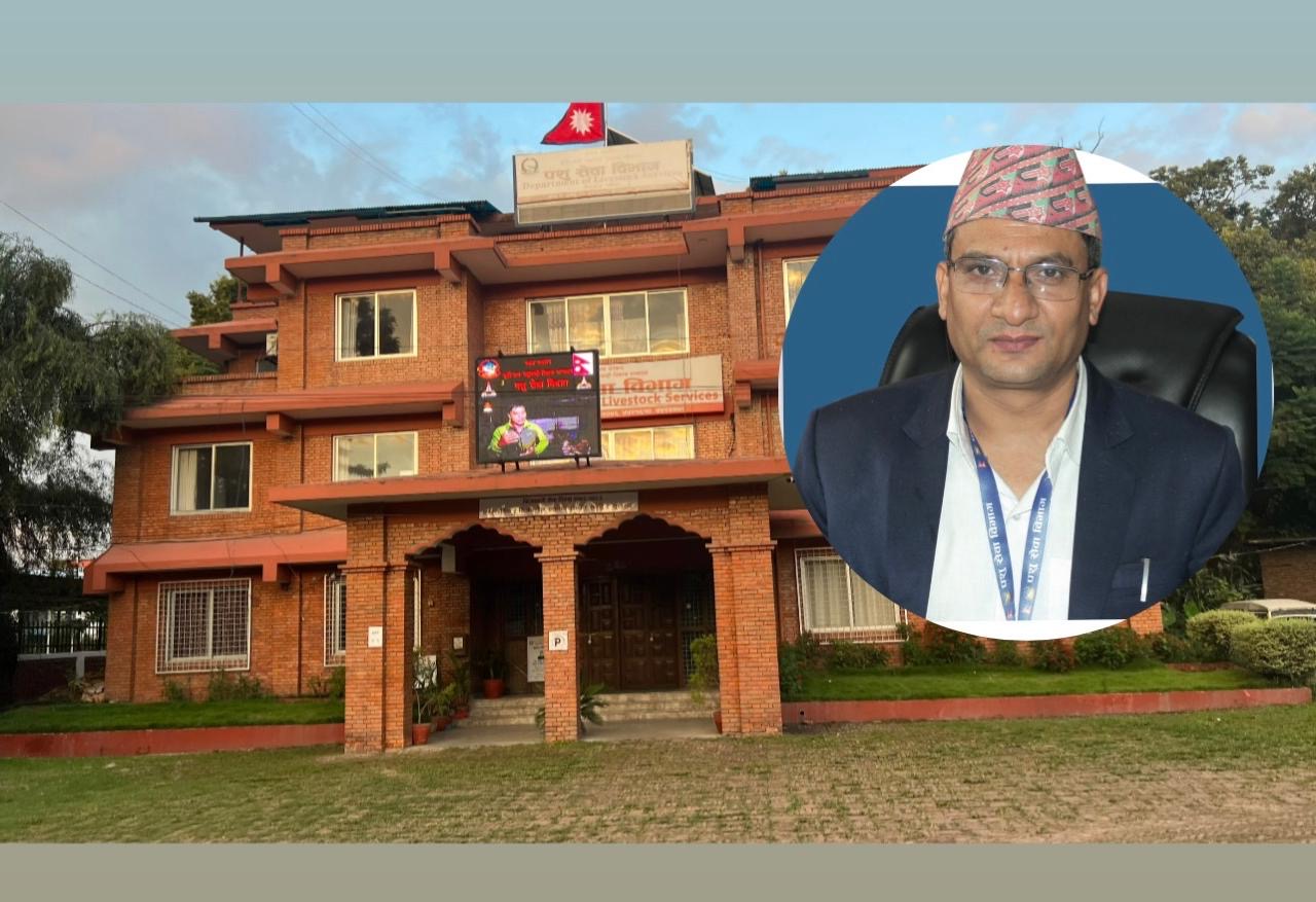 पशु सेवा विभागको महानिर्देशकमा डा. तिवारी