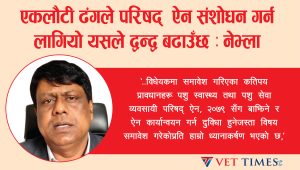 एकलौटी ढंगले परिषद् ऐन संशोधन गर्न लागियो, यसले द्वन्द्व बढाउँछ : नेभ्ला