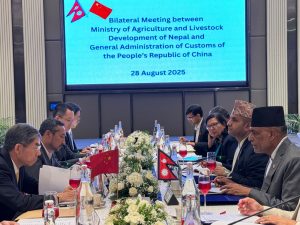 भैंसीको मासुदेखि कृषि उपज चीनतर्फ निर्यात सहज बनाउन नेपालको आग्रह