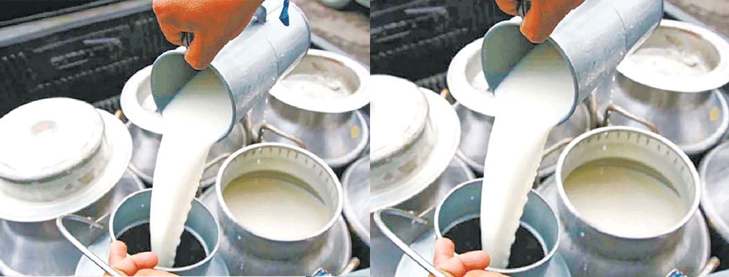 दुग्ध उत्पादक किसानलाई विकास बोर्डको रु १ अर्ब र निजी क्षेत्रको रु ३ अर्ब भुक्तानी बक्यौता