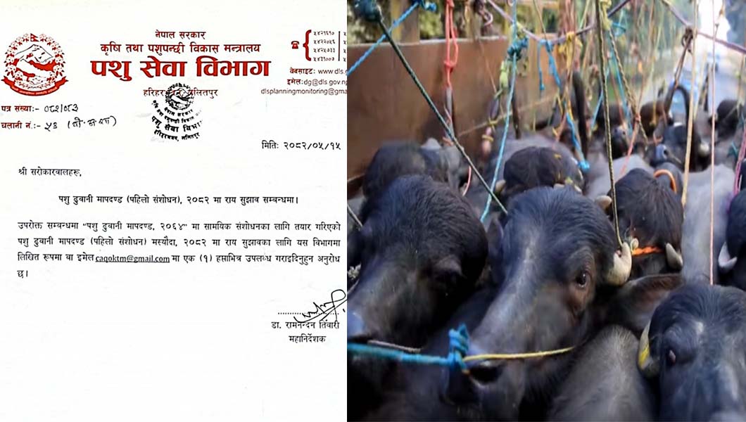 पशुपन्छी ढुवानी मापदण्ड संशाेधन गर्न सरकारले माग्याे सुझाव