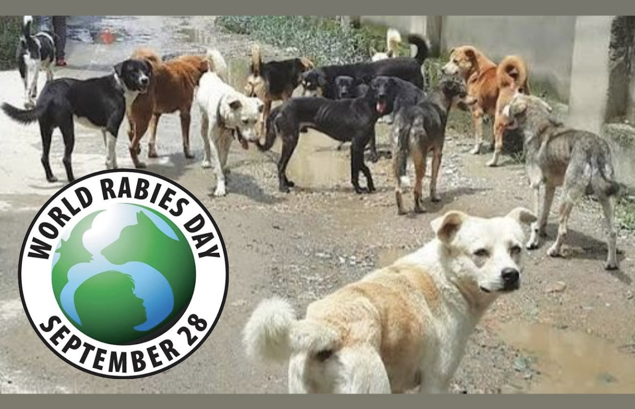 रेबिज र पशुपन्छी दिवसमा नेपाल भेटेरिनरी एसोसियसनको देशव्यापी अभियान