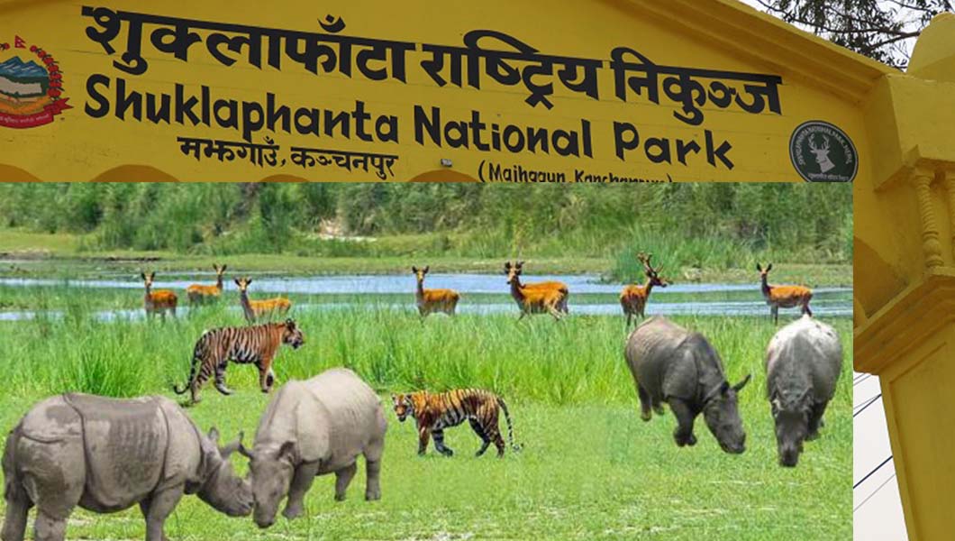 वन्यजन्तु नियन्त्रण गर्न स्वचालित बत्ती जडान