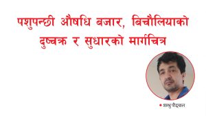 पशुपन्छी औषधि बजार, बिचौलियाको दुष्चक्र र सुधारको मार्गचित्र