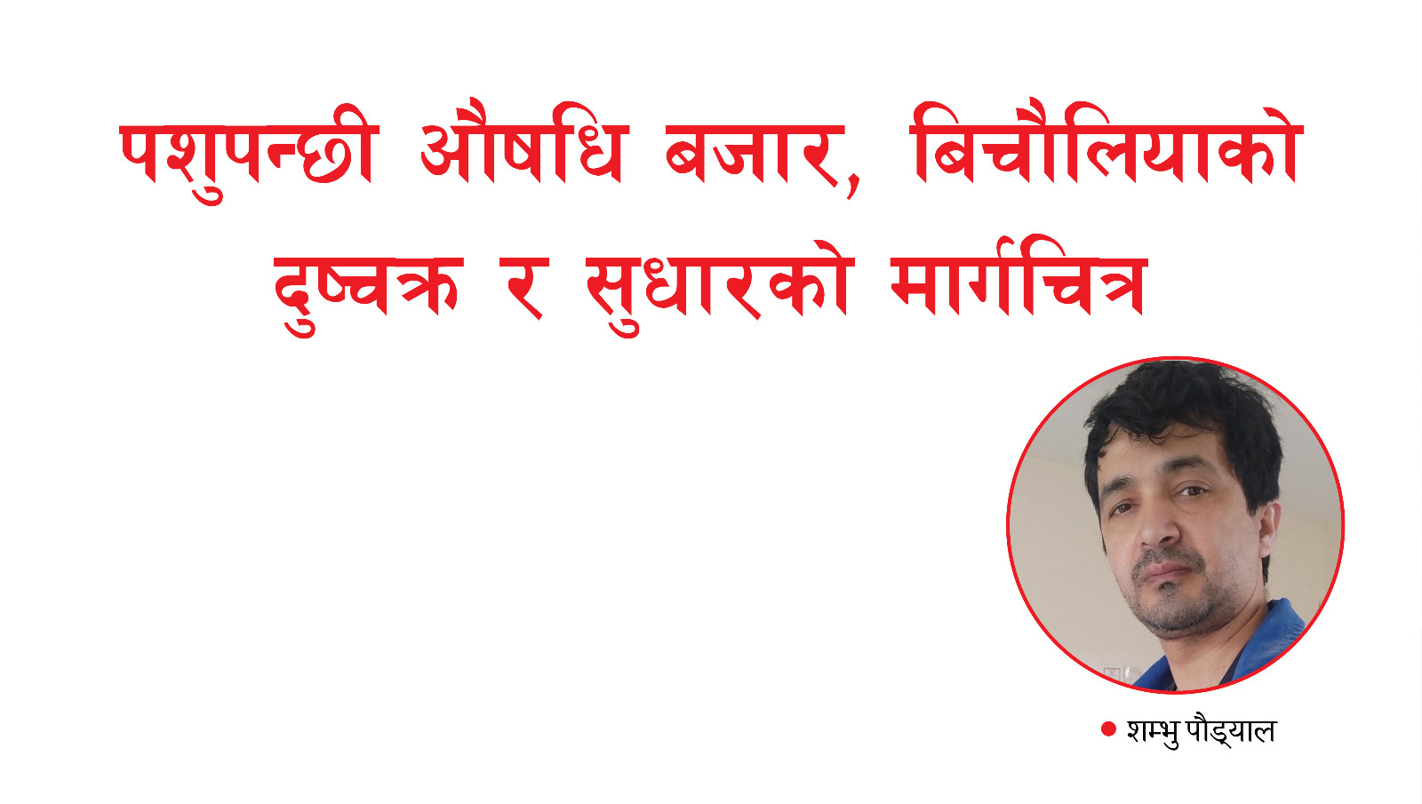 पशुपन्छी औषधि बजार, बिचौलियाको दुष्चक्र र सुधारको मार्गचित्र