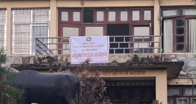 पोखराबाट पशु क्वारेन्टाइन सेवा थालनी