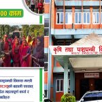 कृषिमन्त्री परियारको सय दिन : किसानको बक्यौता रकम भुक्तानीदेखि बजार सुधारसम्म