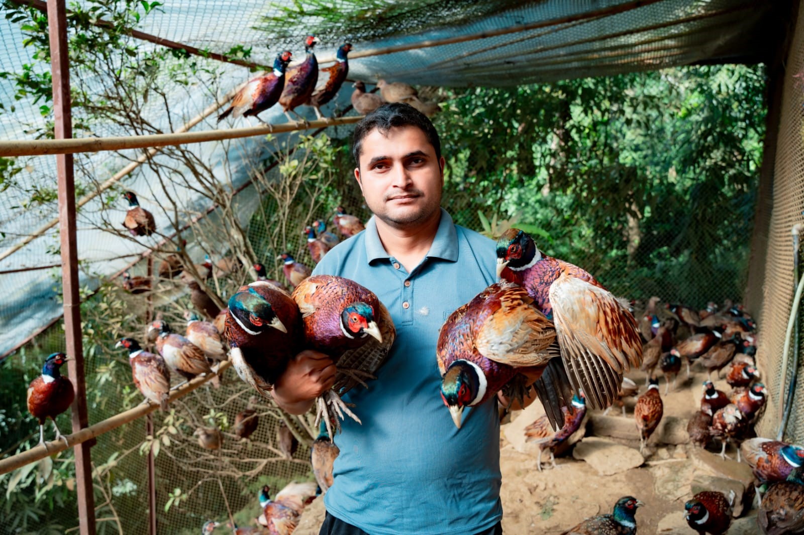 विदेश होइन, व्यावसायिक कृषिमै भविष्य देख्दै ढकाल परिवार