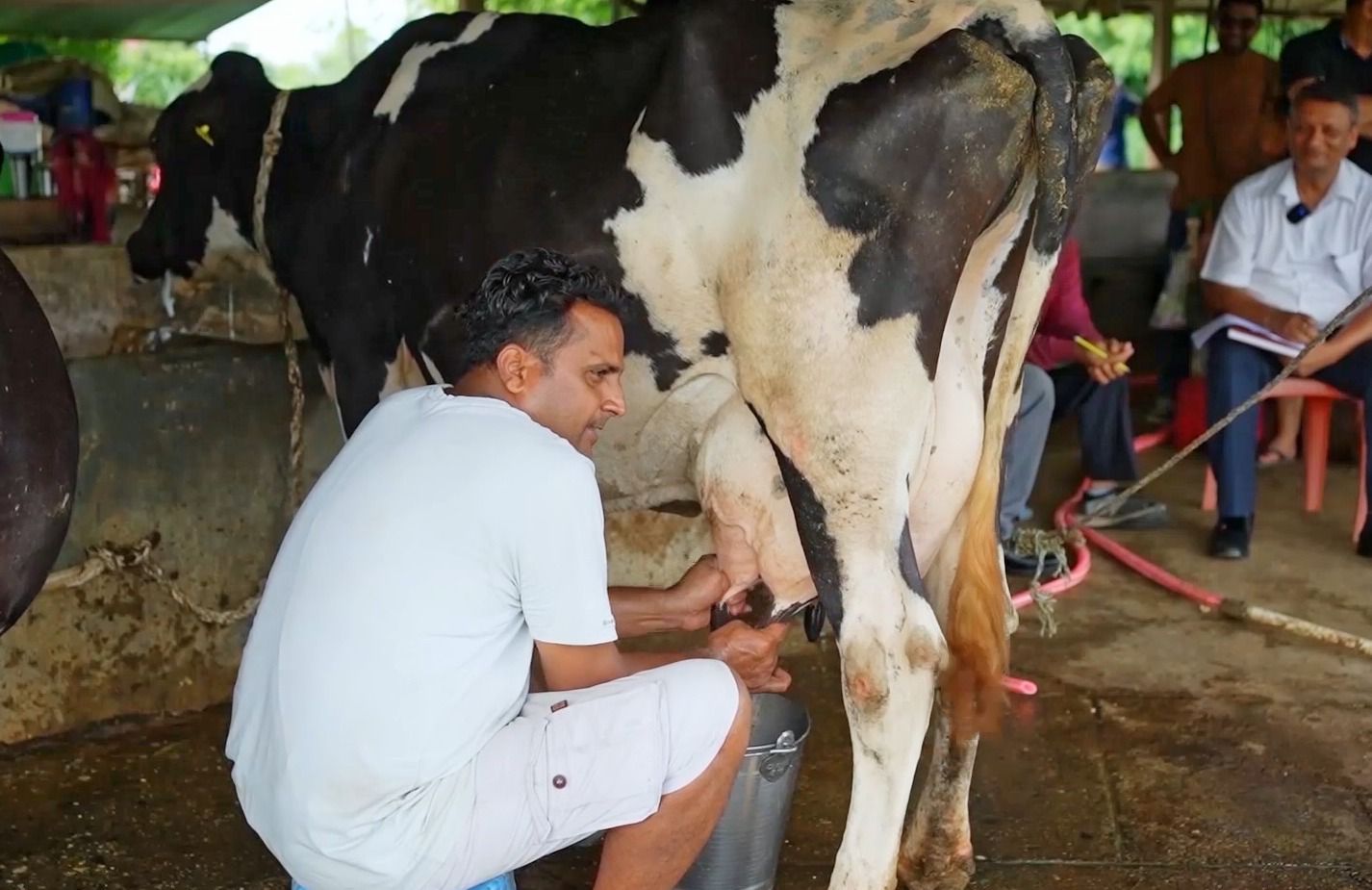 किसान ‘आइडल’तर्फ: ‘दूध’ ले बदल्यो पशुपालनको कथा