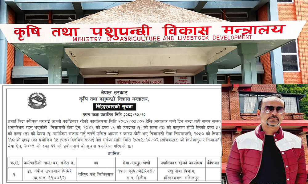 अस्ट्रेलिया बसेर नेपालमा कीर्ते हाजिर गर्ने उपसचिव घिमिरेलाई बर्खास्त गर्ने प्रक्रिया सुरु