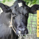 खोरेतको भय,महामारीविरुद्ध जुध्न के गर्दैछ सरकार ?