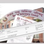 लाइसेन्स परीक्षा रोक्न अन्तरिम आदेश अस्वीकार