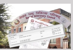 लाइसेन्स परीक्षा रोक्न अन्तरिम आदेश अस्वीकार