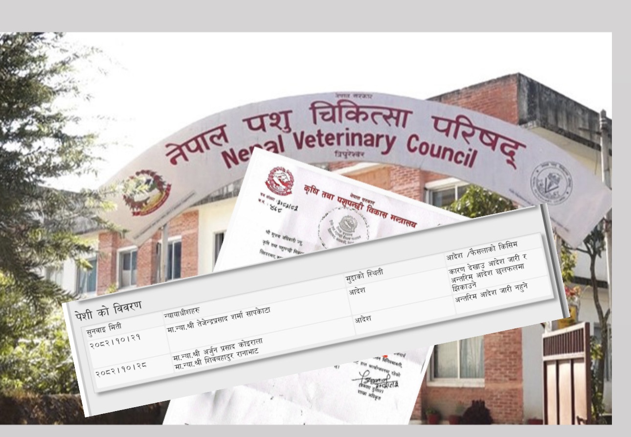 लाइसेन्स परीक्षा रोक्न अन्तरिम आदेश अस्वीकार