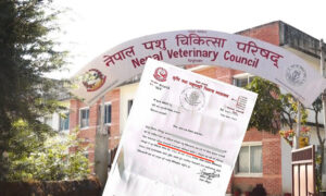 नाम दर्ता परीक्षा विनियमावली सरकारबाट स्वीकृत नभएको पुष्टि