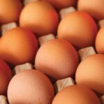अण्डाको समर्थन मूल्य बढ्यो