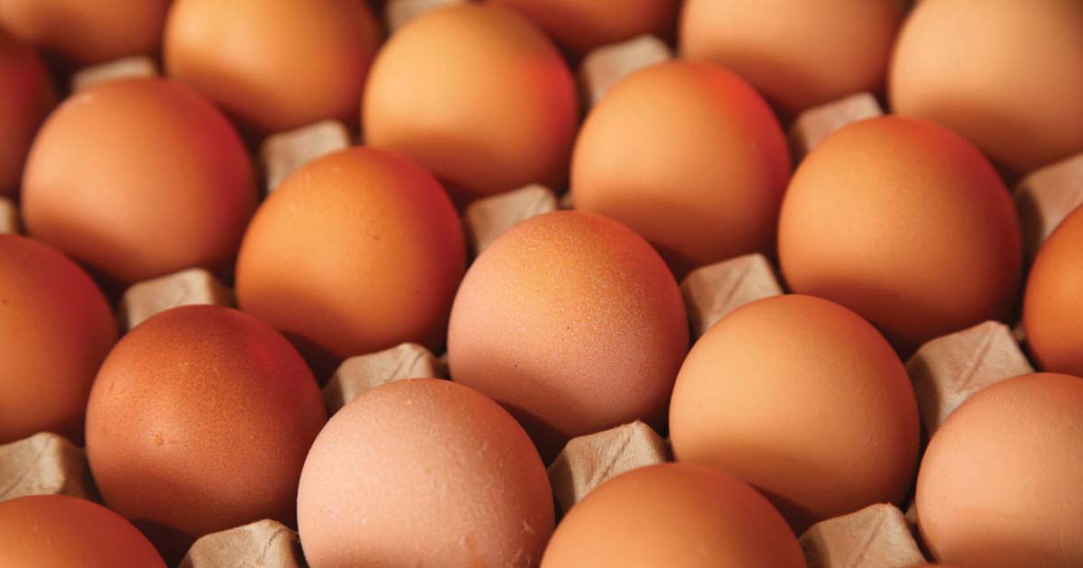 अण्डाको समर्थन मूल्य बढ्यो