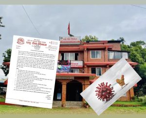 पशु सेवा विभागद्वारा बर्डफ्लु पुष्टि, मोरङ ‘संक्रमित क्षेत्र’ घोषणा