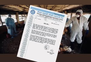 बर्डफ्लु नियन्त्रणमा कडाइ गर्न औषधि व्यवसायी संघको अपिल