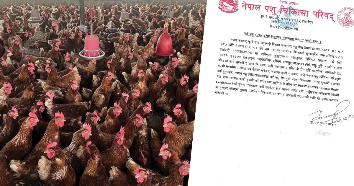 बर्डफ्लु संक्रमित क्षेत्रबाट पशु स्वास्थ्य प्रमाणपत्र जारी नगर्न परिषद्को निर्देशन
