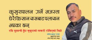 कुखुरापालन गर्ने मजस्ता धेरै किसान यसबाट पलायन भएका छन्