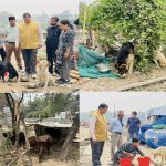 सुकुम्बासी बस्तीमा पशु सेवा विभागद्वारा उद्धार कार्यको अनुगमन, संस्थासँग समन्वय