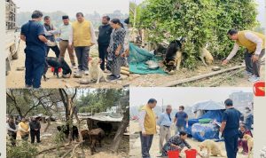 सुकुम्बासी बस्तीमा पशु सेवा विभागद्वारा उद्धार कार्यको अनुगमन, संस्थासँग समन्वय