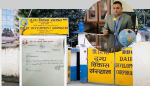 डीडीसीको महाप्रबन्धकमा पाण्डे, जर्जर अवस्था सुधार्ने मुख्य चुनौती