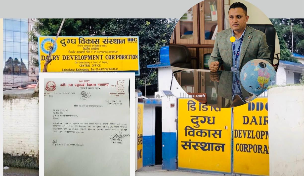 डीडीसीको महाप्रबन्धकमा पाण्डे, जर्जर अवस्था सुधार्ने मुख्य चुनौती