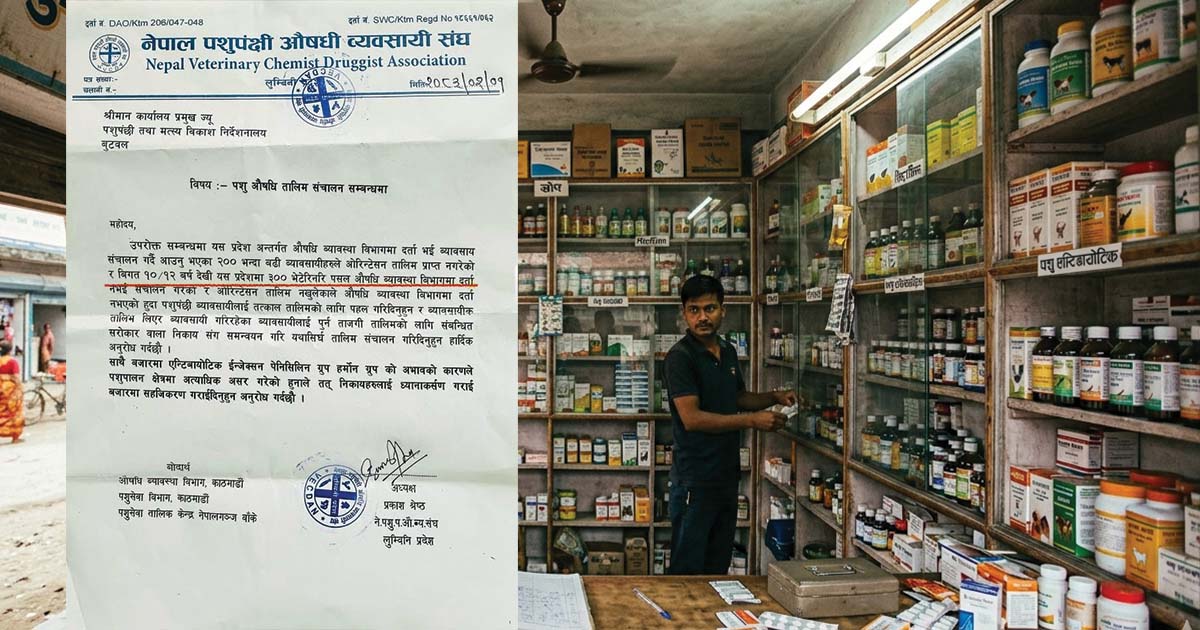 लुम्बिनीमा ३०० भेटेरिनरी पसल अवैध: केन्द्रीय समिति भन्छ— ‘नियम मिच्नेलाई कानुनी कठघरामा ल्याऊ’
