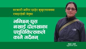 सरकारी जागिर छाडेर कुखुरापालनमा रमाइरहेकी मेनुका