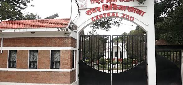 बर्ड फ्लु संक्रमण देखिएपछि सदर चिडियाखाना बन्द
