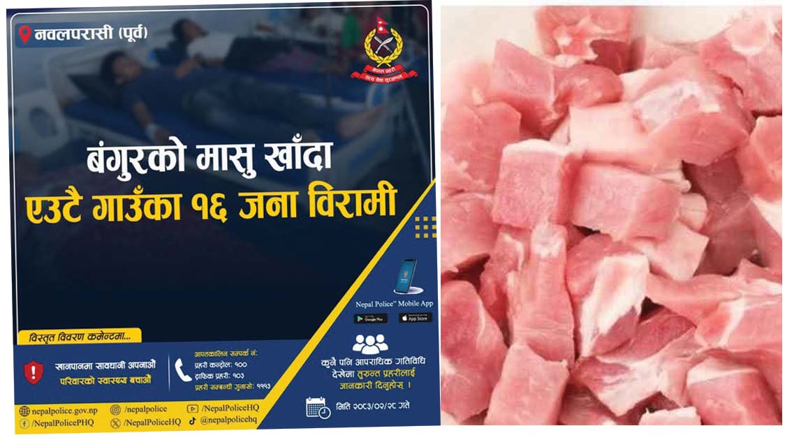 बंगुरको मासु खाएपछि एकै गाउँका १६ जना बिरामी