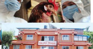 ‘बर्डफ्लु’ नियन्त्रणका लागि ‘द्रुत कार्य टोली’ परिचालन