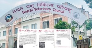 अनधिकृत भेटेरिनरी सेवा गर्ने तीन जनाविरुद्ध कारबाही सिफारिस