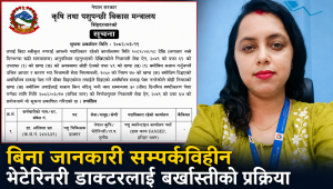 बिनाजानकारी सम्पर्कविहीन भेटेरिनरी चिकित्सकमाथि बर्खास्ती प्रक्रिया