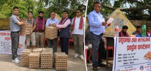 पोषण प्रवर्द्धनका लागि समिटार विद्यालयमा अण्डा हस्तान्तरण