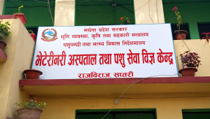 भेटेरिनरी अस्पताल सप्तरीका प्रमुख अख्तियारको नियन्त्रणमा