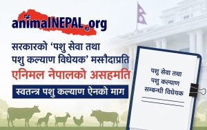 ‘पशु सेवा तथा पशु कल्याण विधेयक’ मस्यौदाप्रति एनिमल नेपालको असहमति