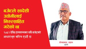 बजेटले स्वदेशी उद्योगीलाई निरुत्साहित गरेको छ