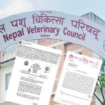 पशु चिकित्सा परिषद्को सूचना ‘विवेकहीनताको पराकाष्ठा’ : मेहता
