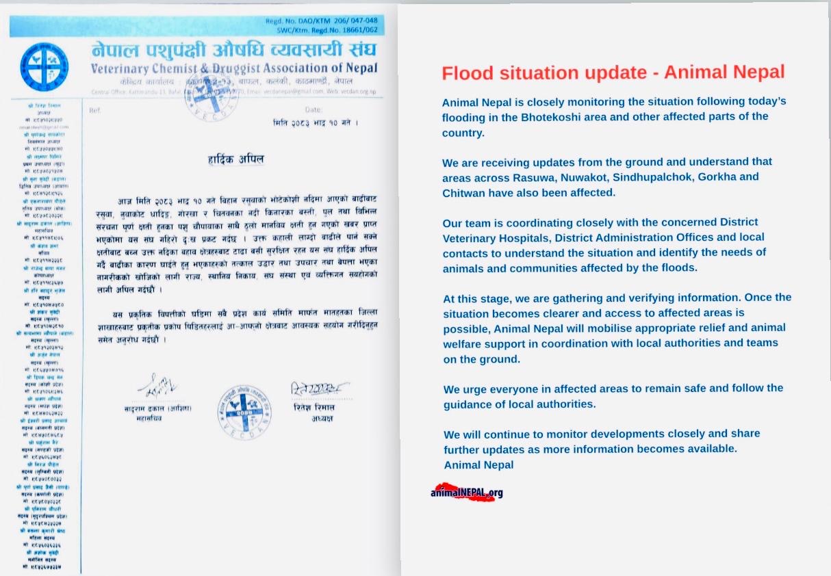 भोटेकोशी बाढीपीडित पशुपन्छीको उद्धार र राहतमा जुट्न संघ–संस्थाको अपिल